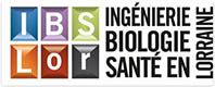 Logo_IBSLor