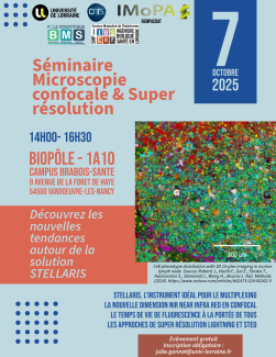 Séminaire Imagerie