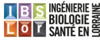 Logo IBSLOR