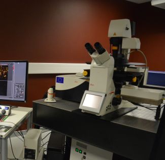 Microscope confocal SP5-X (Leica)