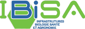 Logo IBISA