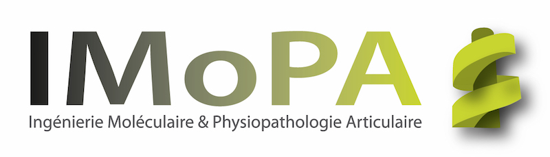 Logo IMoPA