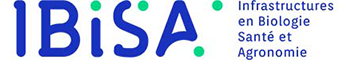 IBISA